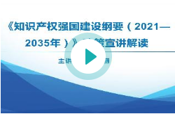 《知识产权强国建设纲要（2021—2035年）》政策宣讲解读