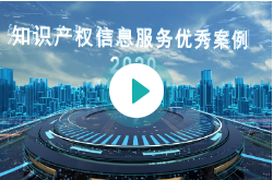 知识产权信息服务优秀案例（2020)