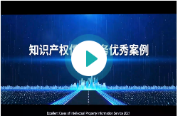 知识产权信息服务优秀案例（2021)