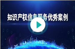 知识产权信息服务优秀案例（2022）